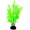 Show in main carousel: Penn-Plax 4-in Plastic Fish Plant, Green, 6 count slide 2 of 5