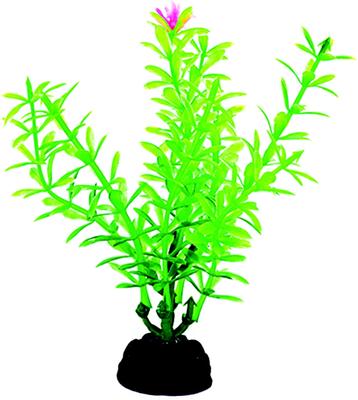 Show full view: Penn-Plax 4-in Plastic Fish Plant, Green, 6 count slide 4 of 5