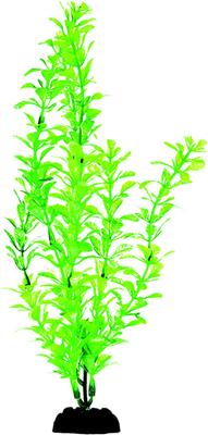 Show full view: Penn-Plax 8-in Plastic Fish Plant, Green, 6 count slide 3 of 7