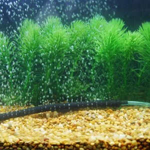 Penn-Plax Aqua Life Bendable Aquarium Bubble Wall, 35.5-in length