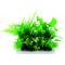 Show in main carousel: Penn-Plax Aqua-Plant 6-Piece Artificial Fish Plant, Green slide 1 of 9