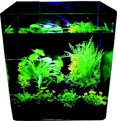 Show full view: Penn-Plax Aqua-Plant 6-Piece Artificial Fish Plant, Green slide 5 of 9