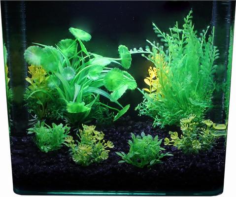 Show full view: Penn-Plax Aqua-Plant 6-Piece Artificial Fish Plant, Green slide 9 of 9