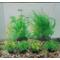 Show in main carousel: Penn-Plax Aqua-Plant 6-Piece Artificial Fish Plant, Green slide 8 of 9