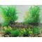 Show in main carousel: Penn-Plax Aqua-Plant 6-Piece Artificial Fish Plant, Green slide 7 of 9