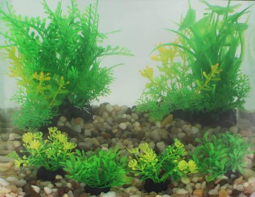 Show full view: Penn-Plax Aqua-Plant 6-Piece Artificial Fish Plant, Green slide 7 of 9