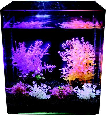 Show full view: Penn-Plax Aqua-Plant 6-Piece Artificial Fish Plant, Multicolor slide 5 of 9