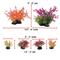 Show in main carousel: Penn-Plax Aqua-Plant 6-Piece Artificial Fish Plant, Multicolor slide 6 of 9