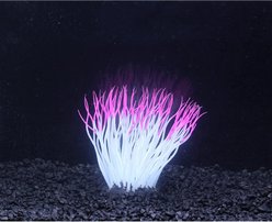 Penn-Plax Aqua-Plants Artificial Soft Silicone Sea Anemone Fish Plant, Pink slide 2 of 4