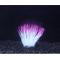 Show in main carousel: Penn-Plax Aqua-Plants Artificial Soft Silicone Sea Anemone Fish Plant, Pink slide 2 of 6