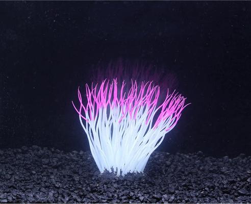 Show full view: Penn-Plax Aqua-Plants Artificial Soft Silicone Sea Anemone Fish Plant, Pink slide 2 of 6