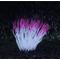 Show in main carousel: Penn-Plax Aqua-Plants Artificial Soft Silicone Sea Anemone Fish Plant, Pink slide 3 of 6