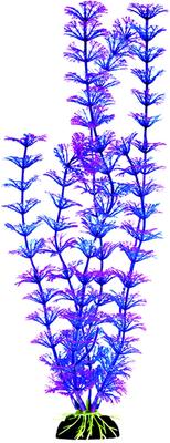 Show full view: Penn-Plax Aqua-Plants Plastic Aquarium 6 Piece Fish Plant, Multicolor, 12-in height slide 4 of 9