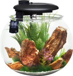 Penn-Plax Aquasphere 360⁰ Fish Aquarium, 10-gal