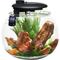 Show in main carousel: Penn-Plax Aquasphere 360⁰ Fish Aquarium, 10-gal slide 1 of 10