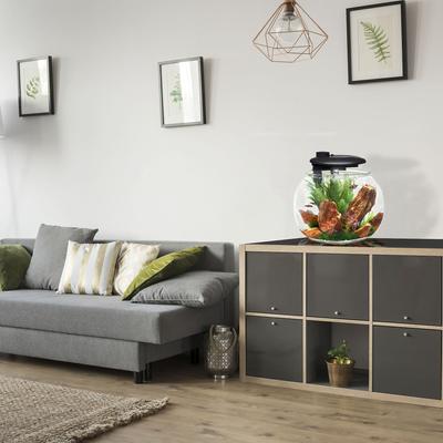 Show full view: Penn-Plax Aquasphere 360⁰ Fish Aquarium, 10-gal slide 3 of 10