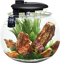 Penn-Plax Aquasphere 360⁰ Fish Aquarium, 14-gal