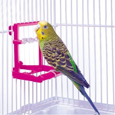 Show full view: Penn-Plax Bird Landing Perch with Mirror & Beads, Medium slide 3 of 8