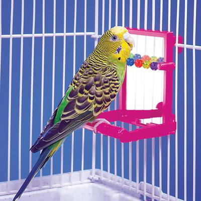 Show full view: Penn-Plax Bird Landing Perch with Mirror & Beads, Medium slide 7 of 8