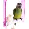 Show in main carousel: Penn-Plax Bird Life Cement & Acrylic Bird Swing, Medium slide 3 of 5