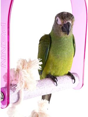 Show full view: Penn-Plax Bird Life Cement & Acrylic Bird Swing, Medium slide 3 of 5