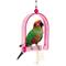 Show in main carousel: Penn-Plax Bird Life Cement & Acrylic Bird Swing, Medium slide 4 of 5
