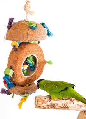 Show full view: Penn-Plax Bird Life Coconut Kabob Bird Toy slide 5 of 9
