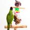 Show in main carousel: Penn-Plax Bird Life Combo Kabob Bird Toy, X-Large slide 3 of 5