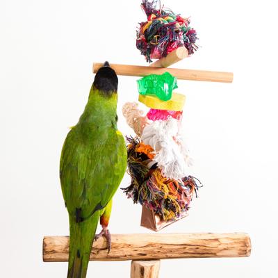 Show full view: Penn-Plax Bird Life Combo Kabob Bird Toy, X-Large slide 3 of 5