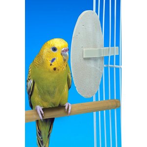 Penn-Plax Bird-Life Natural E Cuttlebones Bird Supplement, 2 count