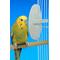 Show in main carousel: Penn-Plax Bird-Life Natural E Cuttlebones Bird Supplement, 2 count slide 5 of 7