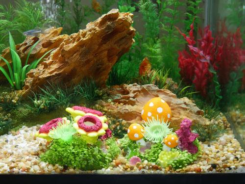 Show full view: Penn-Plax Blooming Flowers Aqua Flora Fish Ornament slide 4 of 4