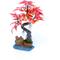 Show in main carousel: Penn-Plax Bonsai Aquarium Ornament slide 1 of 9