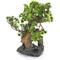 Show in main carousel: Penn-Plax Bonsai Tree On Rock Aquarium Ornament slide 1 of 2