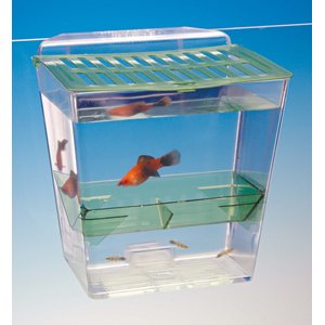 Penn-Plax Breed ‘n’ Show Plastic Tank