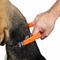 Show in main carousel: Penn-Plax Bungee Dog Collar, Orange/Black, Large slide 7 of 9