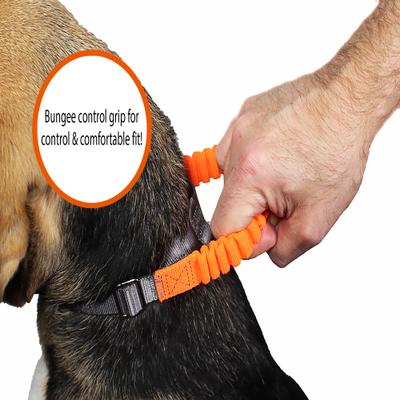 Show full view: Penn-Plax Bungee Dog Collar, Orange/Black, Large slide 8 of 9