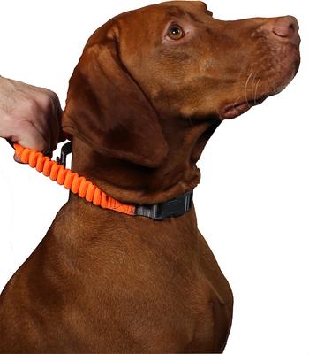 Show full view: Penn-Plax Bungee Dog Collar, Orange/Black, Medium slide 3 of 9