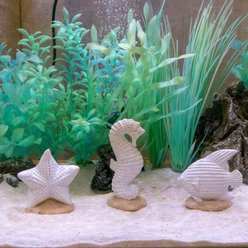Penn-Plax Coastal Aquarium Kit Fish Ornament slide 2 of 4