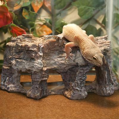 Show full view: Penn-Plax Deco Cliff Fish Ornament, Medium, Brown slide 5 of 10