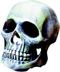 Penn-Plax Deco Replicas Human Skull Fish Ornament, Grey