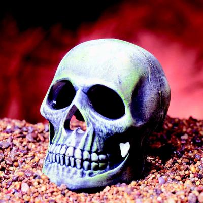 Show full view: Penn-Plax Deco Replicas Human Skull Fish Ornament, Grey slide 2 of 8