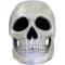 Show in main carousel: Penn-Plax Deco Replicas Human Skull Fish Ornament, Grey slide 3 of 8