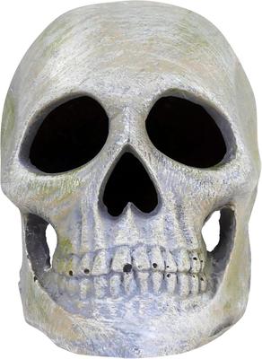 Show full view: Penn-Plax Deco Replicas Human Skull Fish Ornament, Grey slide 3 of 8