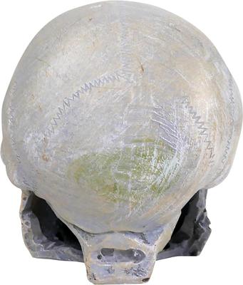 Show full view: Penn-Plax Deco Replicas Human Skull Fish Ornament, Grey slide 7 of 8