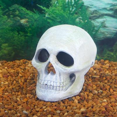 Show full view: Penn-Plax Deco Replicas Human Skull Fish Ornament, Grey slide 4 of 8