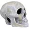 Show in main carousel: Penn-Plax Deco Replicas Human Skull Fish Ornament, Grey slide 5 of 8