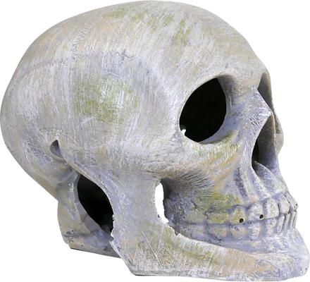 Show full view: Penn-Plax Deco Replicas Human Skull Fish Ornament, Grey slide 5 of 8
