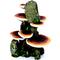 Show in main carousel: Penn-Plax Deco-Replicas Tree Trunk with Shelf Mushrooms Aquarium Decoration Fish Ornament, Medium slide 1 of 10