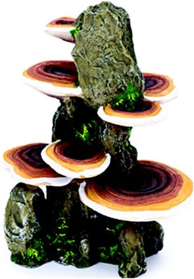Show full view: Penn-Plax Deco-Replicas Tree Trunk with Shelf Mushrooms Aquarium Decoration Fish Ornament, Medium slide 1 of 10
